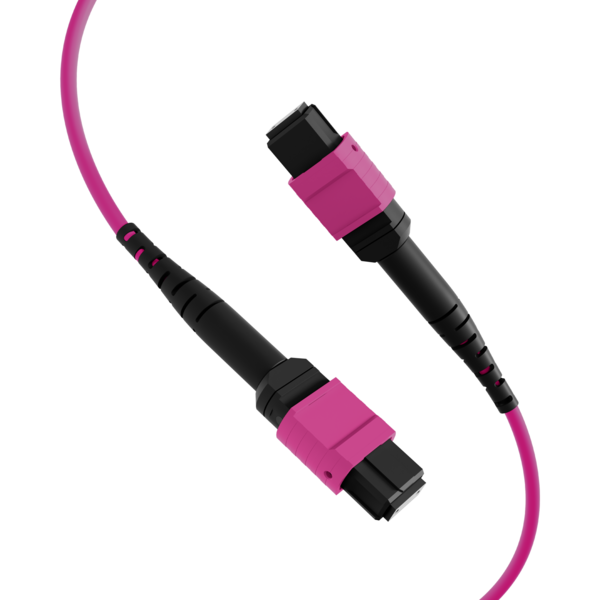 MTP©(F)-MTP©(F) Patchkabel OM4 12 Fasern -- Typ B LSZH erika-violett 1m