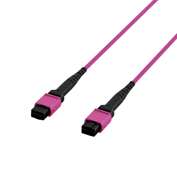 MTP©(F)-MTP©(F) Patchkabel OM4 12 Fasern -- Typ B LSZH erika-violett 1m