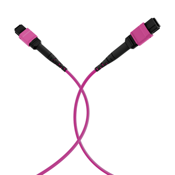 MTP©(F)-MTP©(F) Patchkabel OM4 12 Fasern -- Typ B LSZH erika-violett 1m