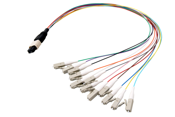 MTP®(M)-LC Fanoutkabel OM4 12 Fasern, Typ B LSZH erika-violett 0,4m