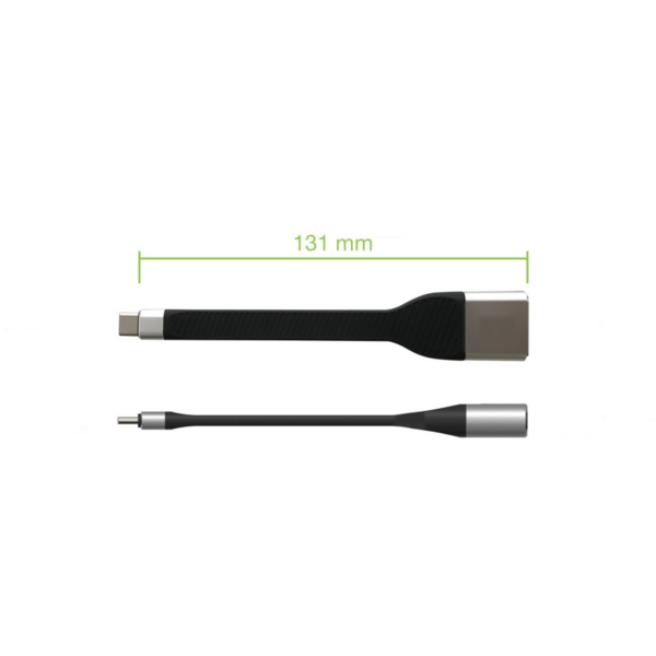 Techly USB-C Stecker zu Displayport Buchse -- kurz, flaches FPC Kabel