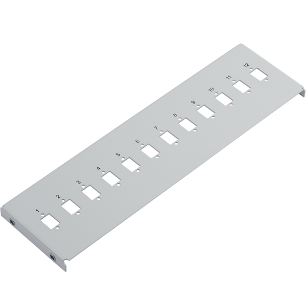 Verteilerplatte 12 SC-Simplex für -- Miniwandverteiler 53605.1V2