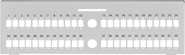 Verteilerplatte 48 SC-Simplex  -- für Wandverteiler 53604.1V2 (32cm )