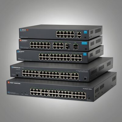 Switching Hubs