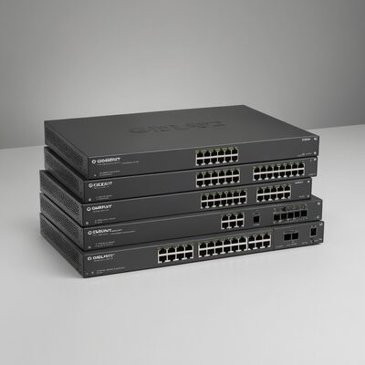 Gigabit Switch managed online kaufen
