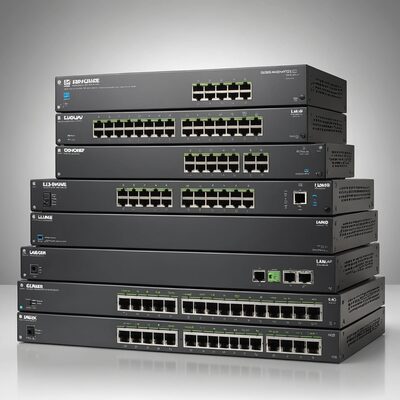 LAN Switch
