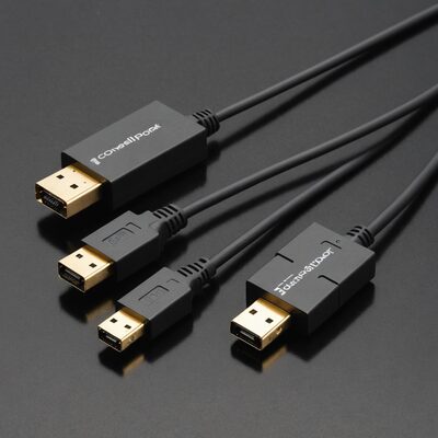 Mini DisplayPort-DisplayPort Adapter