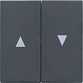 4010337294283 - GIRA 029428 Wippe 2fach Pfeil System 55 Anthrazit 4010337294283 - GIRA 029428 Wippe 2fach Pfeil System 55 Anthrazit