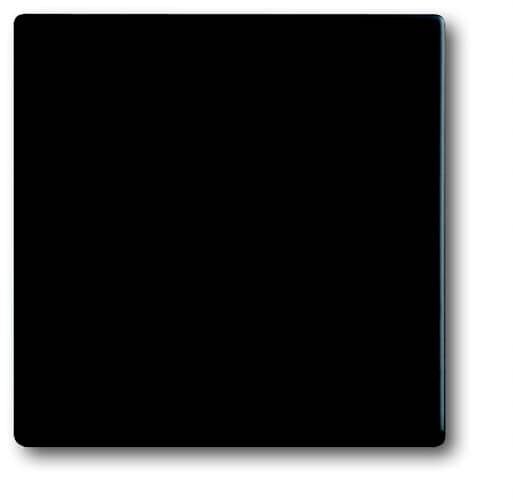 4011395129753 - BJ future linear Wippe Wechsel 1786-885 schwarz matt 4011395129753 - BJ future linear Wippe Wechsel 1786-885 schwarz matt
