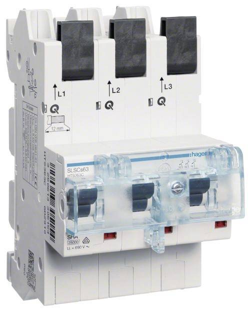 Hager SLS-Schalter 3P Cs 63A HTS363C f.Sammelschiene QuickConnect Hager SLS-Schalter 3P Cs 63A HTS363C f.Sammelschiene QuickConnect