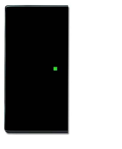 BJ Wippe 2-fach 6230-20-81 Busch-free@home anthrazit
