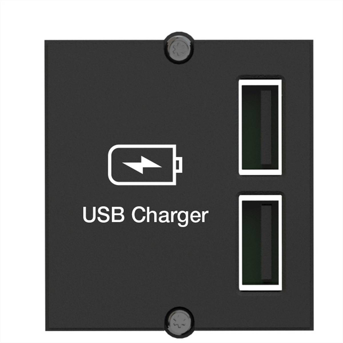 4057298024382 - 917224 Custom Modul Usb Doppel-charger Ladegerät 405729802