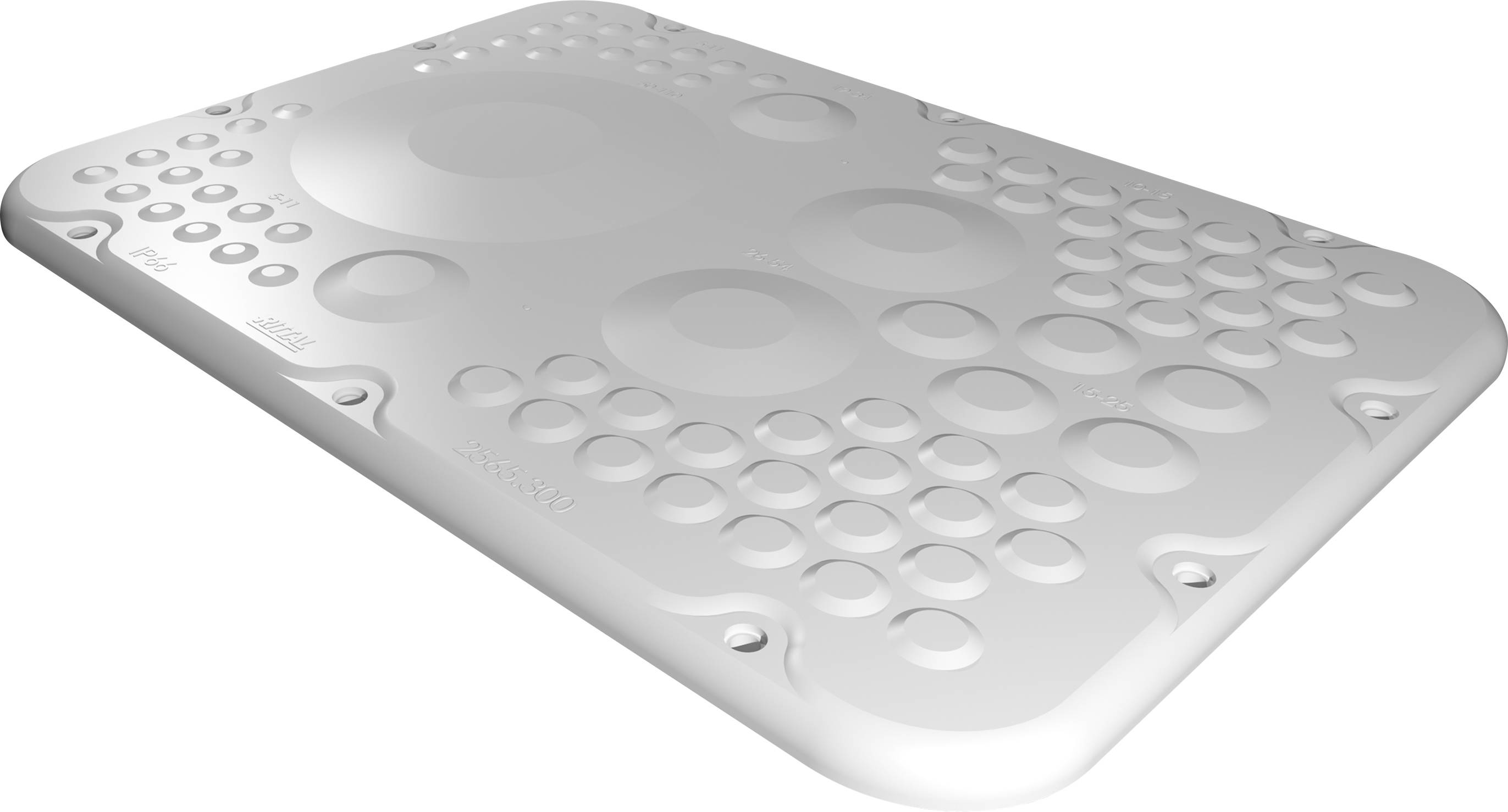 Rittal Kunststoff- AX 2565300 Flanschplatten, für AX, BT: 301x221 mm Rittal Kunststoff- AX 2565300 Flanschplatten, für AX, BT: 301x221 mm