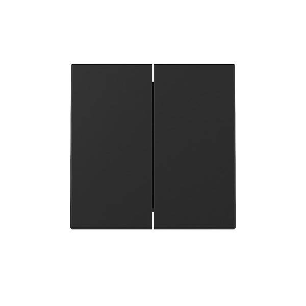 4010337065616 - GIRA 3295005 Wippe 2fach System 55 Schwarz matt (lackiert) 4010337065616 - GIRA 3295005 Wippe 2fach System 55 Schwarz matt (lackiert)
