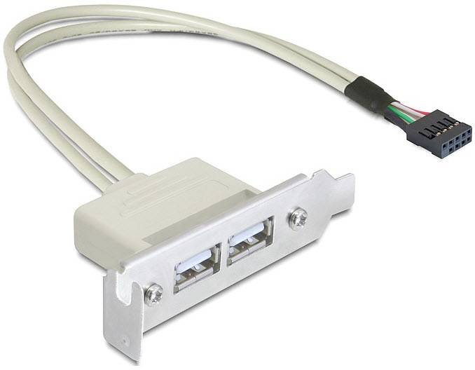 DELOCK Slotblech 2x USB A DELOCK Slotblech 2x USB A