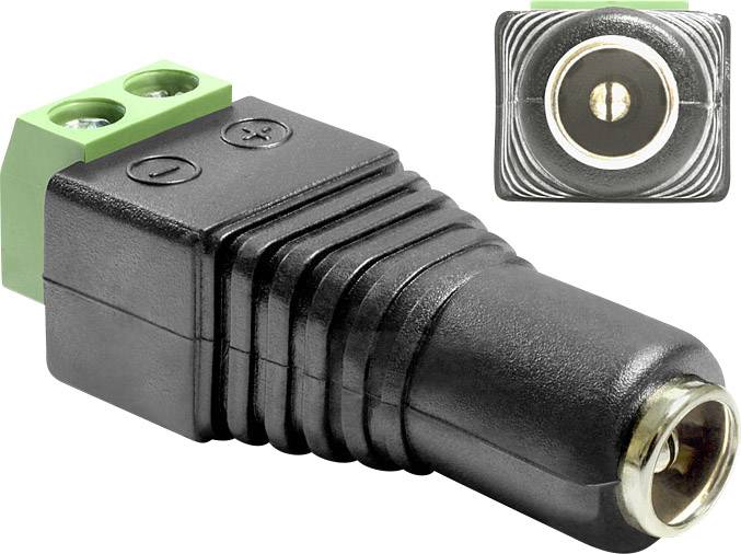 DELOCK Adapter Terminalblock 2Pin -> DC 2,1 x 5,5mm Buchse Adapter