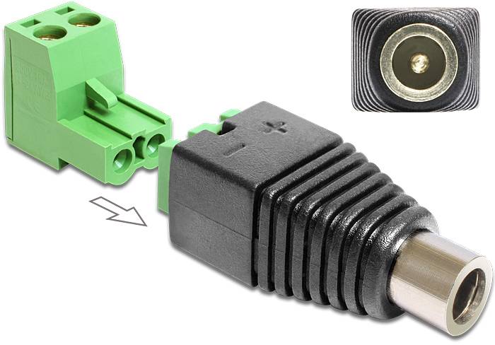 DELOCK Adapter Terminalblock 2Pin -> DC 2,1 x 5,5mm Bu 2- - 65423