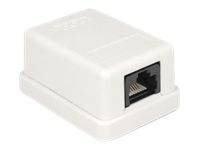 DELOCK Netzwerk Dose RJ45 Buchse Cat6 ungeschirmt DELOCK Netzwerk Dose RJ45 Buchse Cat6 ungeschirmt