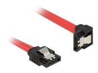 DELOCK SATA-Kabel SATA III -> SATA down St/St 0.50m rot Clip - 83979
