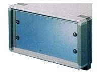 Rittal Blindpanel 1HE RAL 7035 2 Stück 19