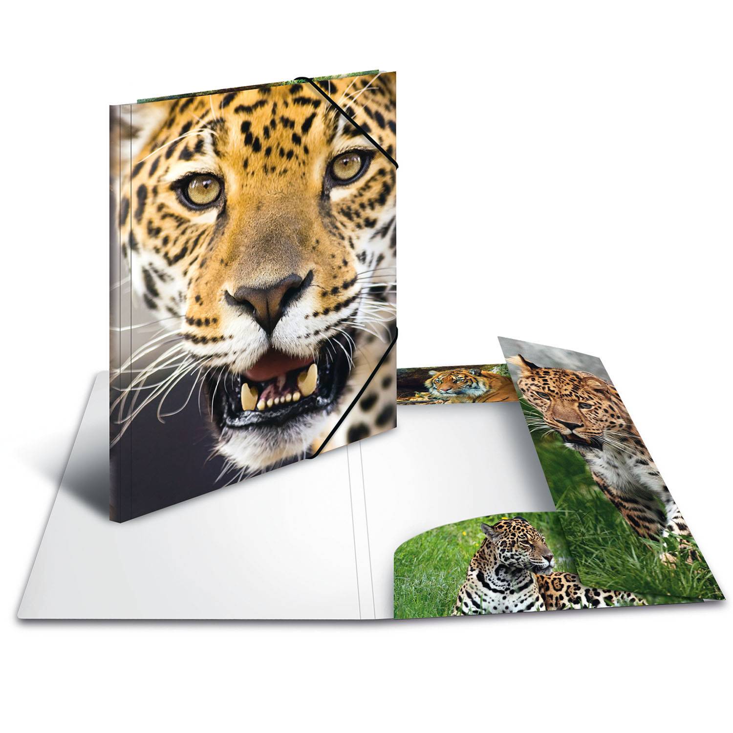 HERMA Sammelmappe A4 Leopard Polypropylen PapierBüroSchreibwar