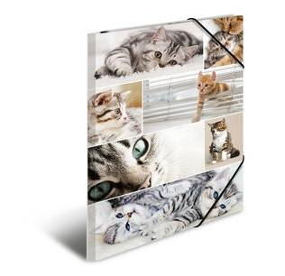 HERMA Sammelmappe A3 Katzen Pappe, HERMA 19219 19219 (BILD1)