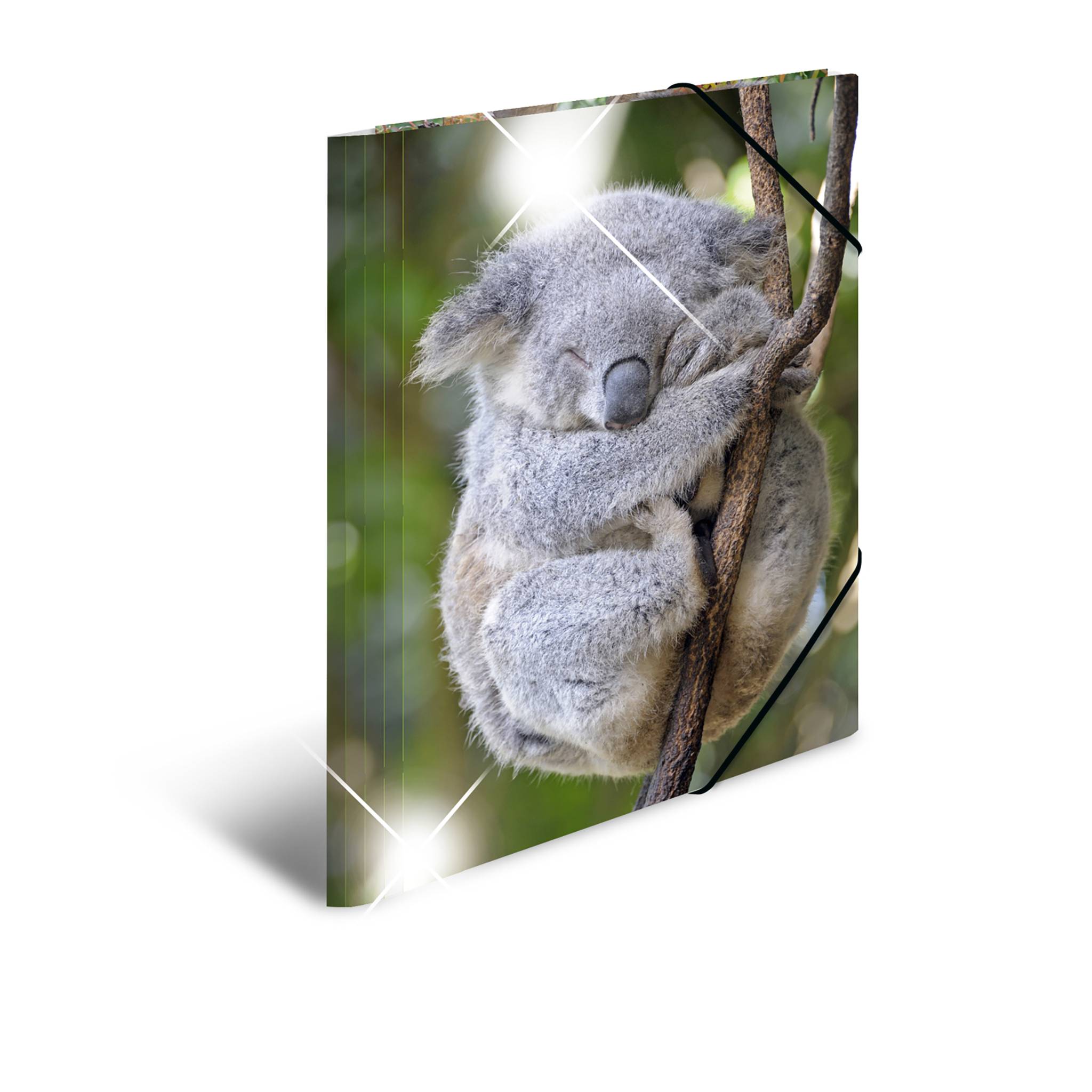 HERMA Sammelmappe A4 Glossy Koala Polypropylen, HERMA 19323 (BILD1)