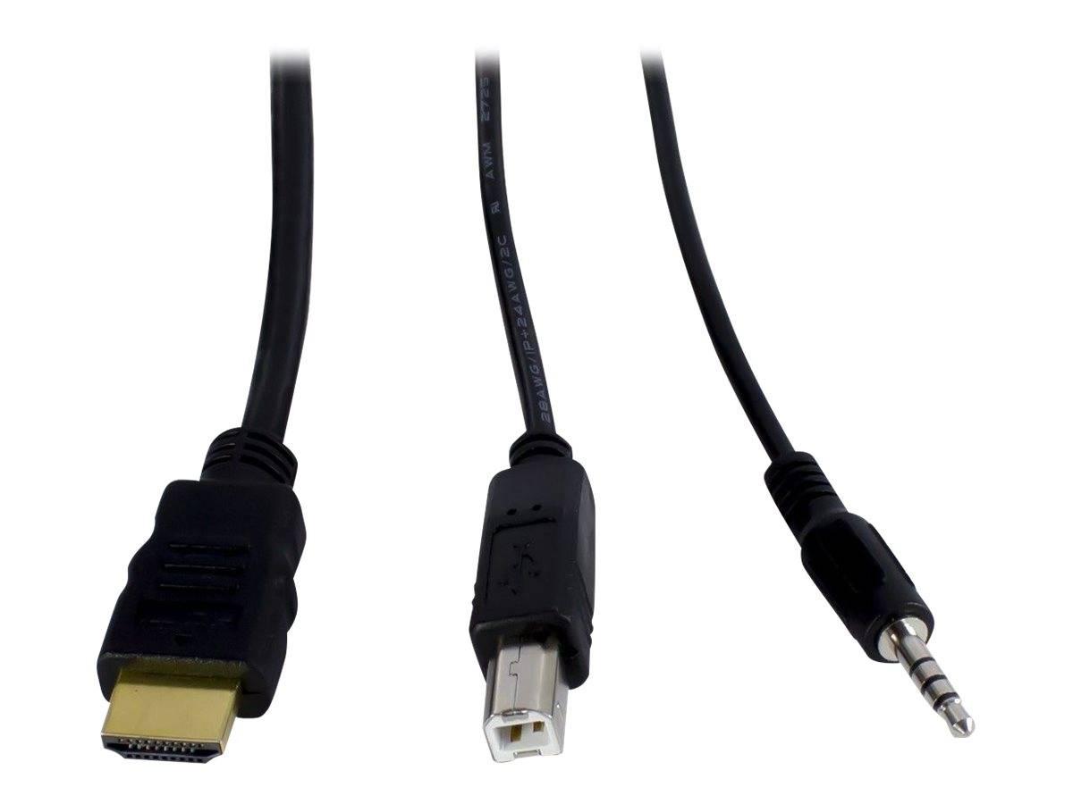 Inter-Tech KVM Switch AS-21HA HDMI, 2 Port, Metall KVM