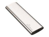 MediaRange SSD Festplatte 3.2Gen2 USB Type-C 240GB ext. sil MediaRange SSD Festplatte 3.2Gen2 USB Type-C 240GB ext. sil