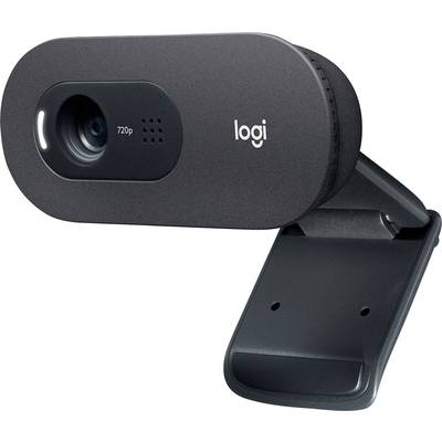 Logitech HD-Webcam C505 black retail