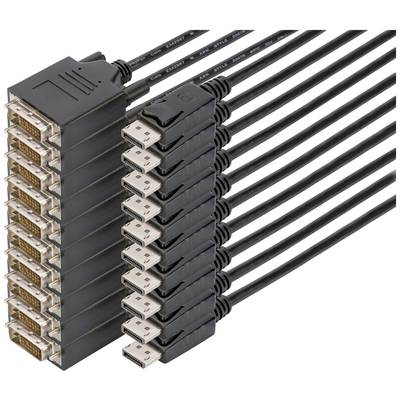 DIGITUS DisplayPort - DVI Adapterkabel, 10er Pack, 2m, sw