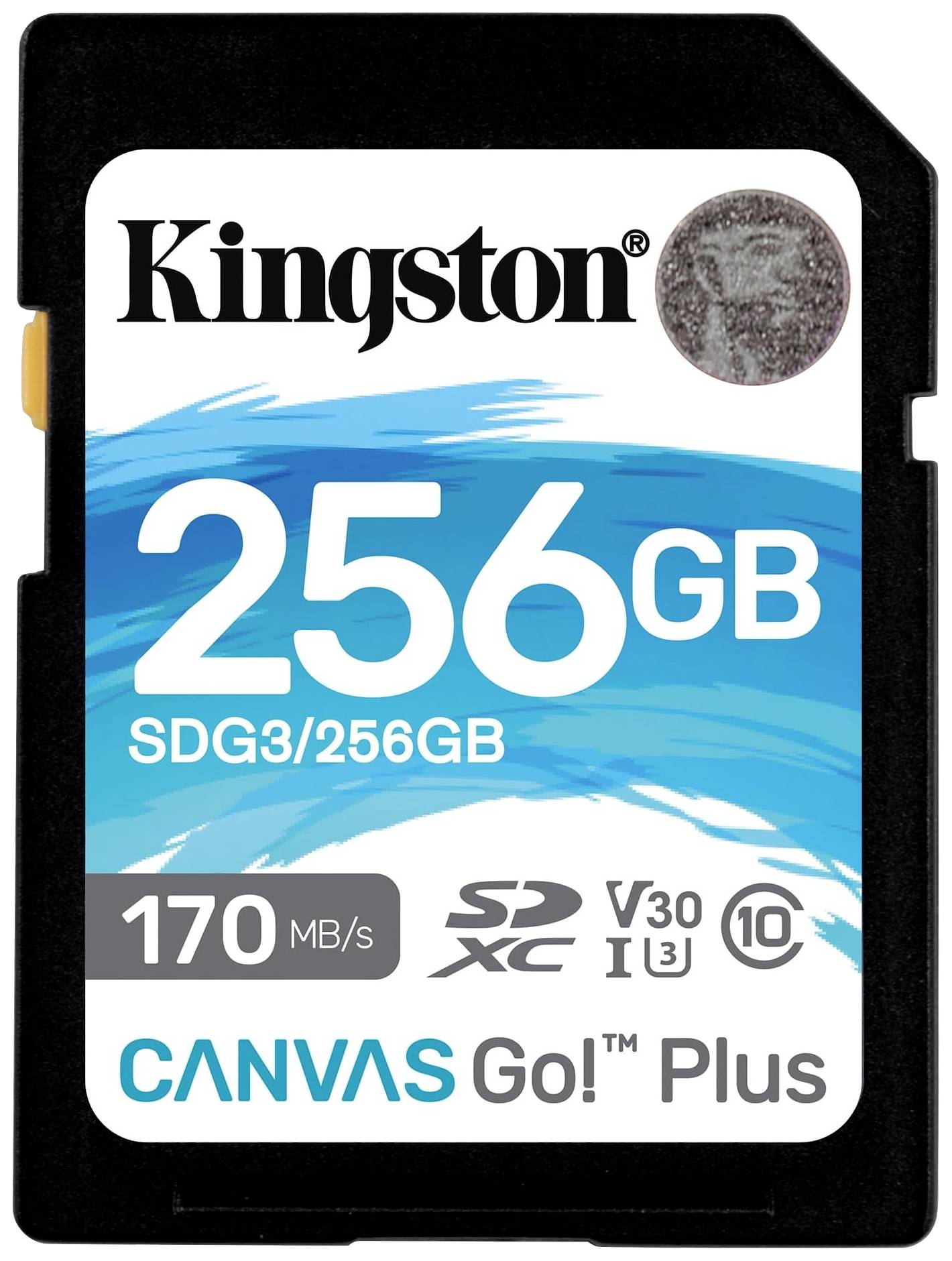 SD Card 256GB Kingston SDXC Canvas Go Plus C10 retail - SDG3/256GB