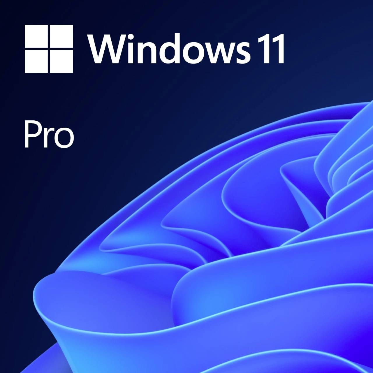 Windows 11 Pro 64Bit DSP 1pk Deutsch DVD, Microsoft  (BILD1)