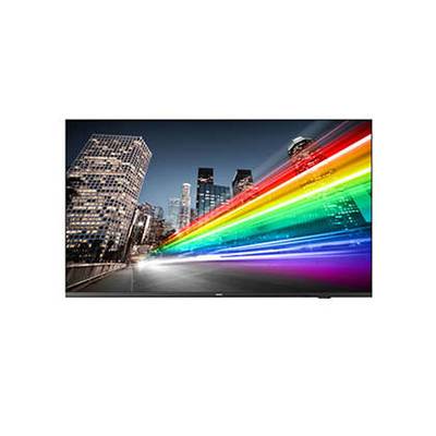 PHILIPS B-Line 50BFL2214    127,0cm(50) 16/7/UHD/TV-Modul (Speditionsversand)