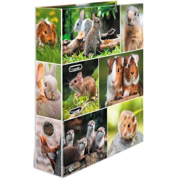 4008705192521 - Motivordner Tierwelten Nagetiere 19252 A4 70mm breit 4008705192521 Herma 4008705192521 - Motivordner Tierwelten Nagetiere 19252 A4 70mm breit 4008705192521 Herma
