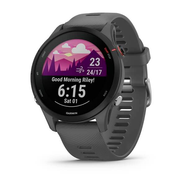 Garmin Forerunner 255 Grey 46mm - 010-02641-10