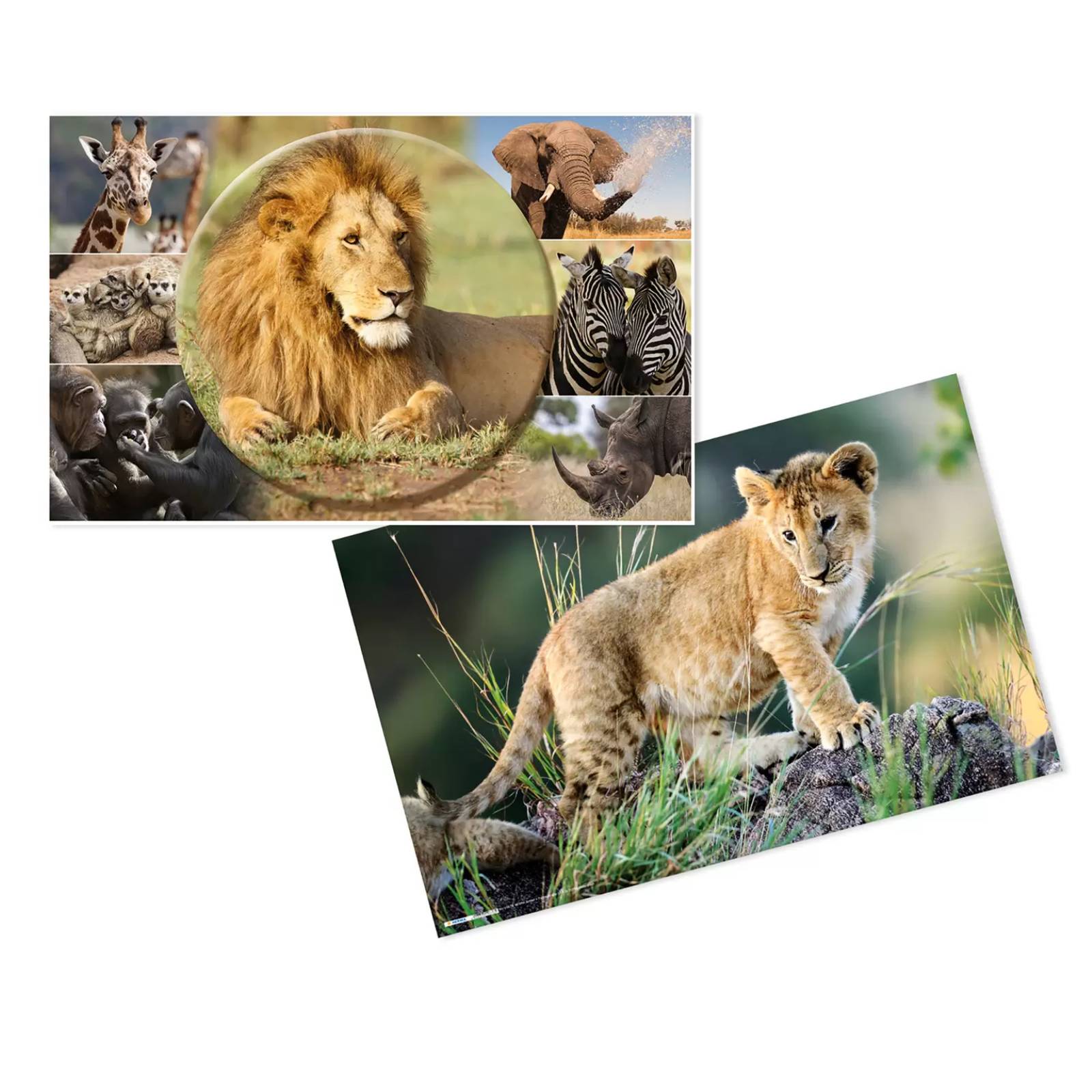 4008705936347 - HERMA Schreibunterlage Afrika Tiere 55x35 3 Stück 4008705936347 - HERMA Schreibunterlage Afrika Tiere 55x35 3 Stück