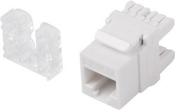 5901969415841 - Keystone-Stecker lanberg cat6 utp rj45 180 Grad 5901969415841 - Keystone-Stecker lanberg cat6 utp rj45 180 Grad