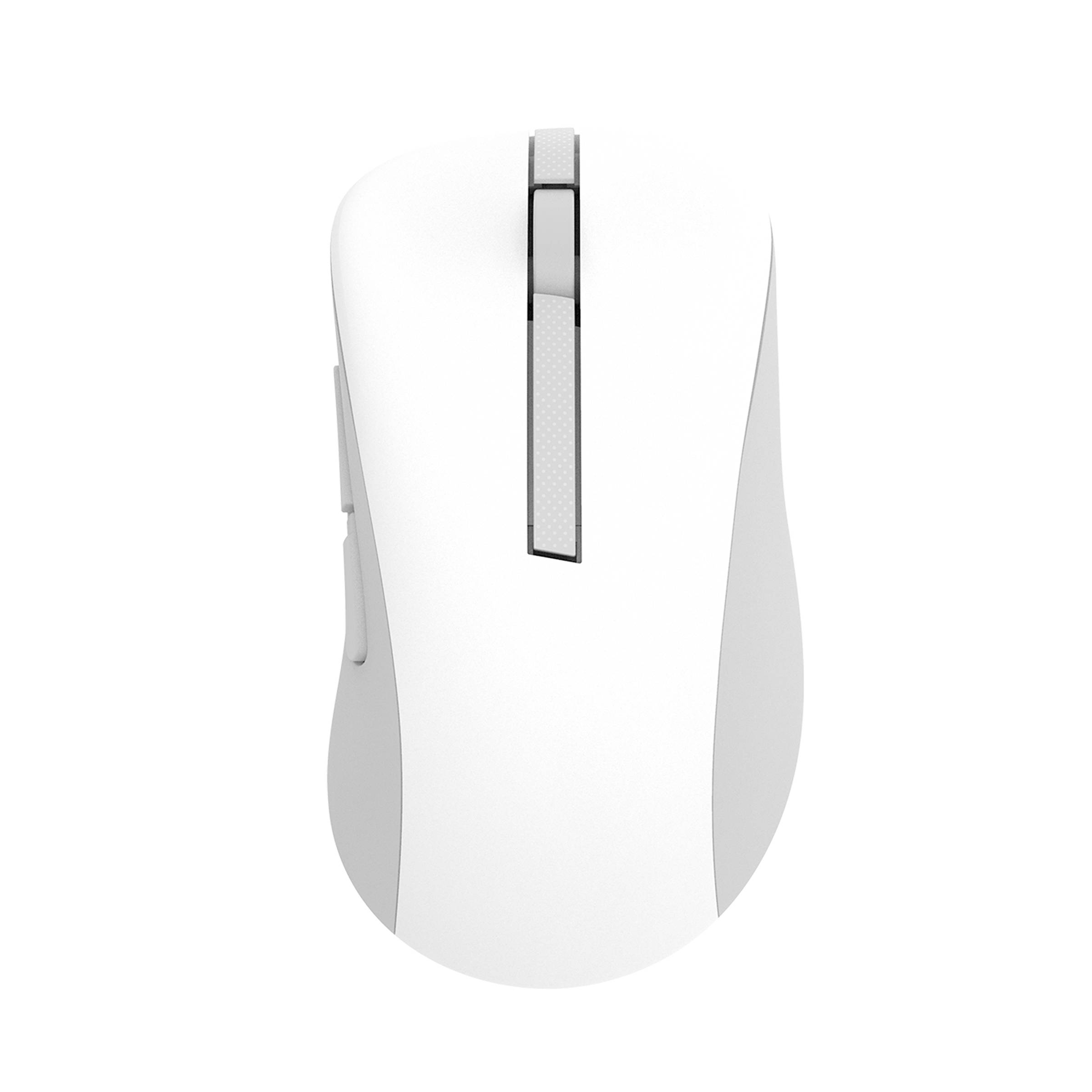 4711387537596 - ASUS MD102 Maus weiß Silent