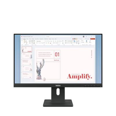 Lenovo ThinkVision E24-40 23.8 inch Monitor