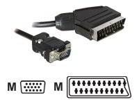 DELOCK Video Kabel Scart 21pin -> VGA D-Sub15 St/St 2 - 65028